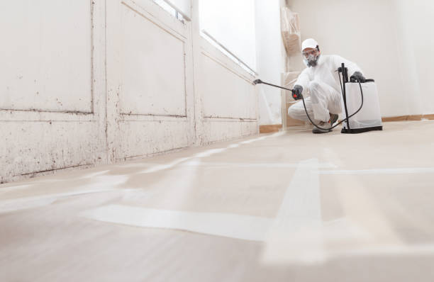 24/7 Emergency Attic Mold Removal experts in Fort Belvoir, VA